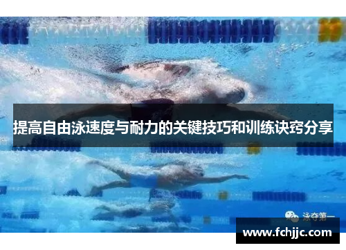 提高自由泳速度与耐力的关键技巧和训练诀窍分享