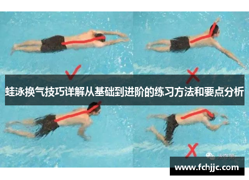 蛙泳换气技巧详解从基础到进阶的练习方法和要点分析